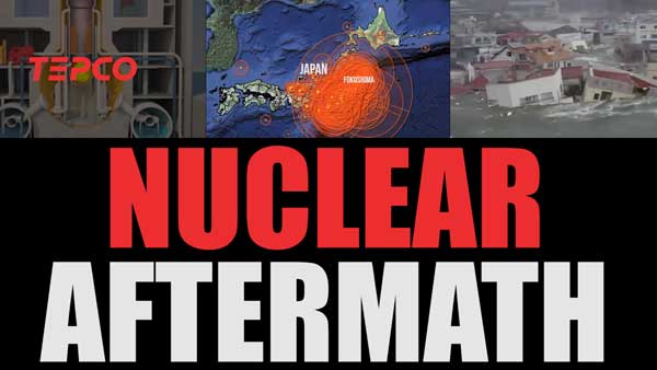Nuclear Aftermath